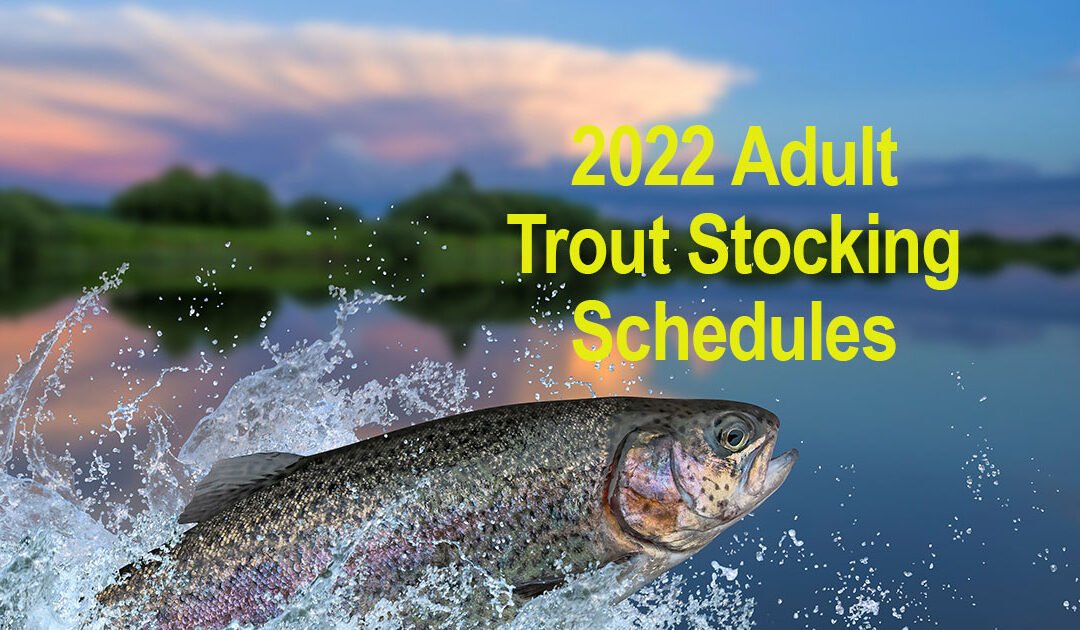 Trout Stocking